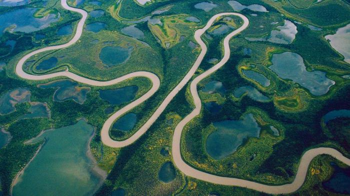 विश्व की 20 सबसे लंबी नदियां । Top 20 longest River in The World in Hindi