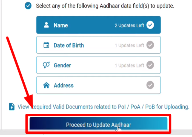 update online aadhaar name