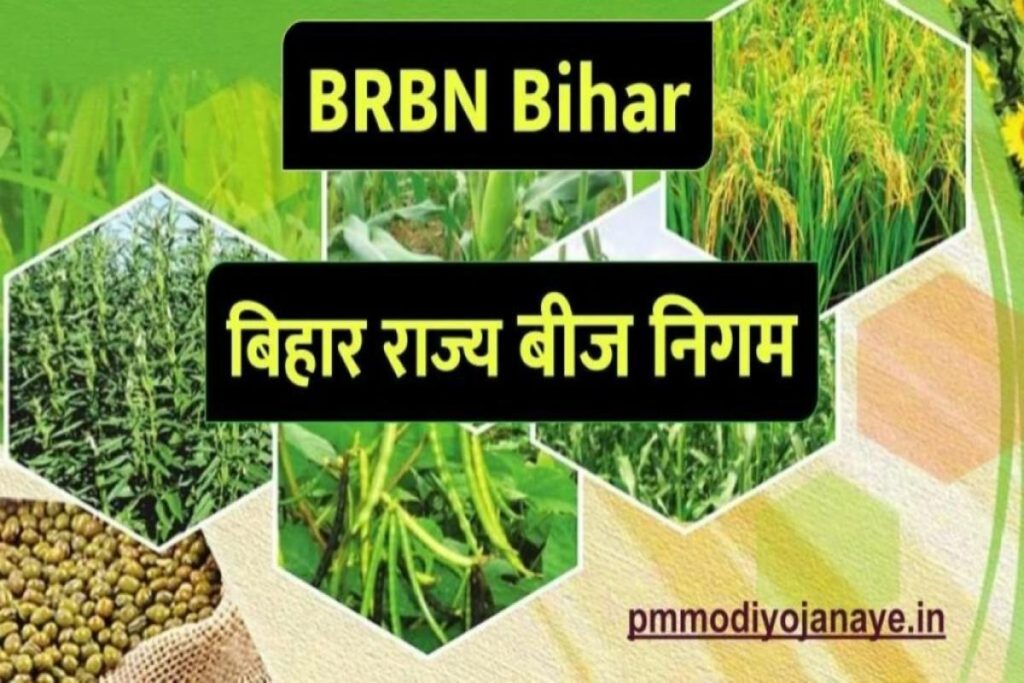 BRBN Bihar -बिहार राज्य बीज निगम,बीज अनुदान की जानकारी हिंदी में