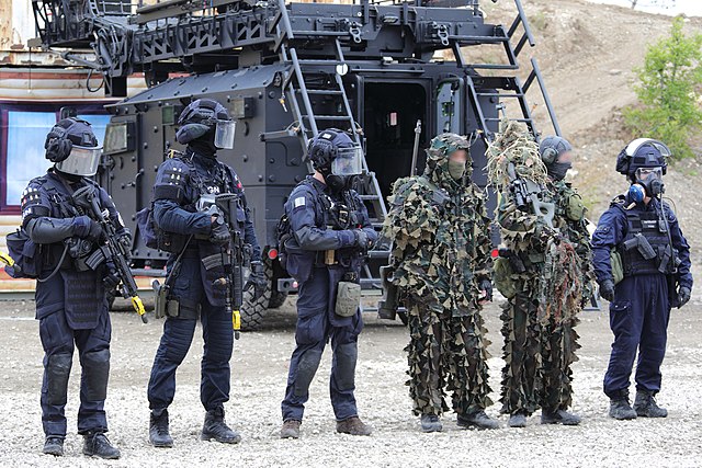 GIGN force