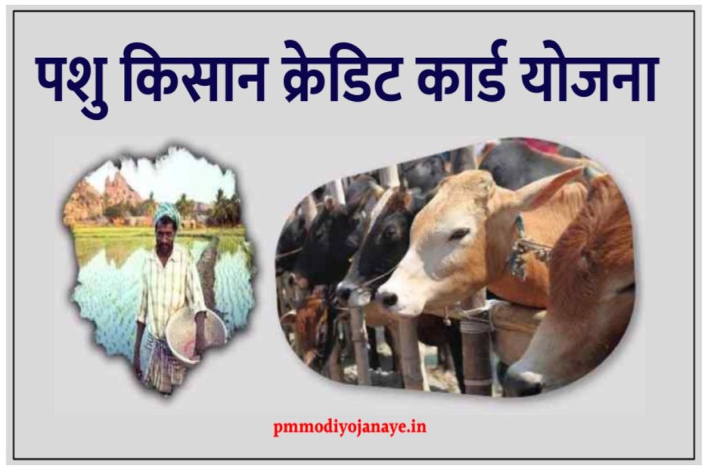 पशु किसान क्रेडिट कार्ड 2023 ऑनलाइन आवेदन- दस्तावेज, लाभ, आवेदन फॉर्म | Pashu Kisan Credit Card aryana