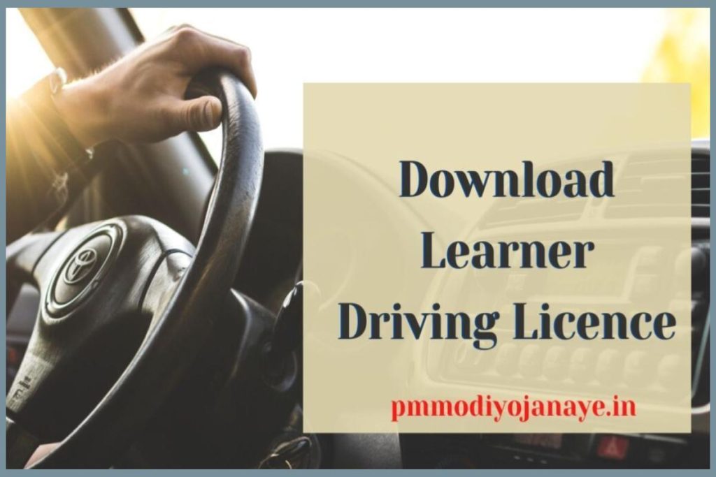 Download Learner License Online Soft Copy: ऐसे करें लर्निंग लाइसेंस डाउनलोड