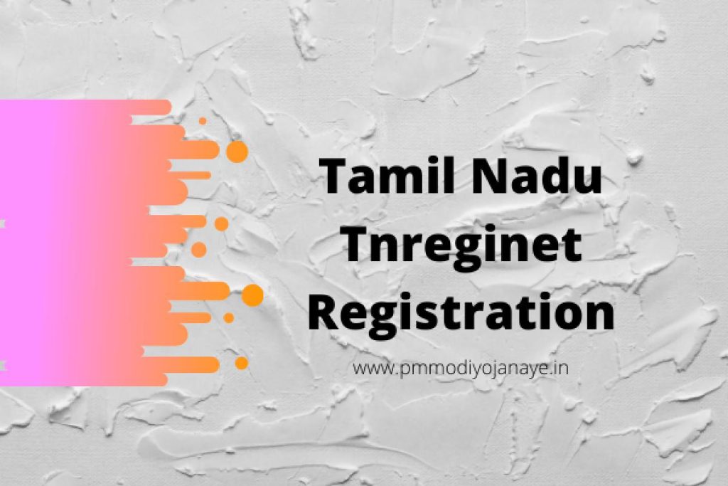 Tnreginet Registration: Guide Value Search, Know Jurisdiction, Apply Encumbrance Certificate