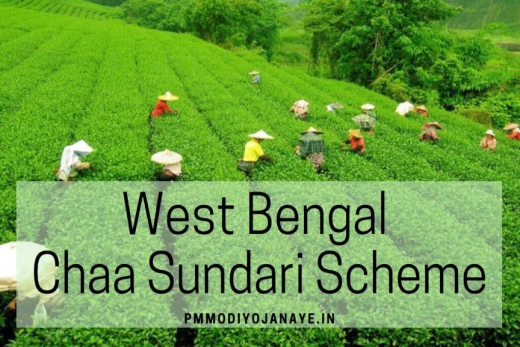 West Bengal Chaa Sundari Scheme 2023: Apply Online, Application Form