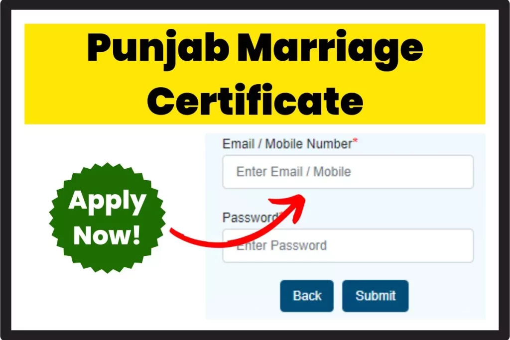 Punjab Marriage Certificate