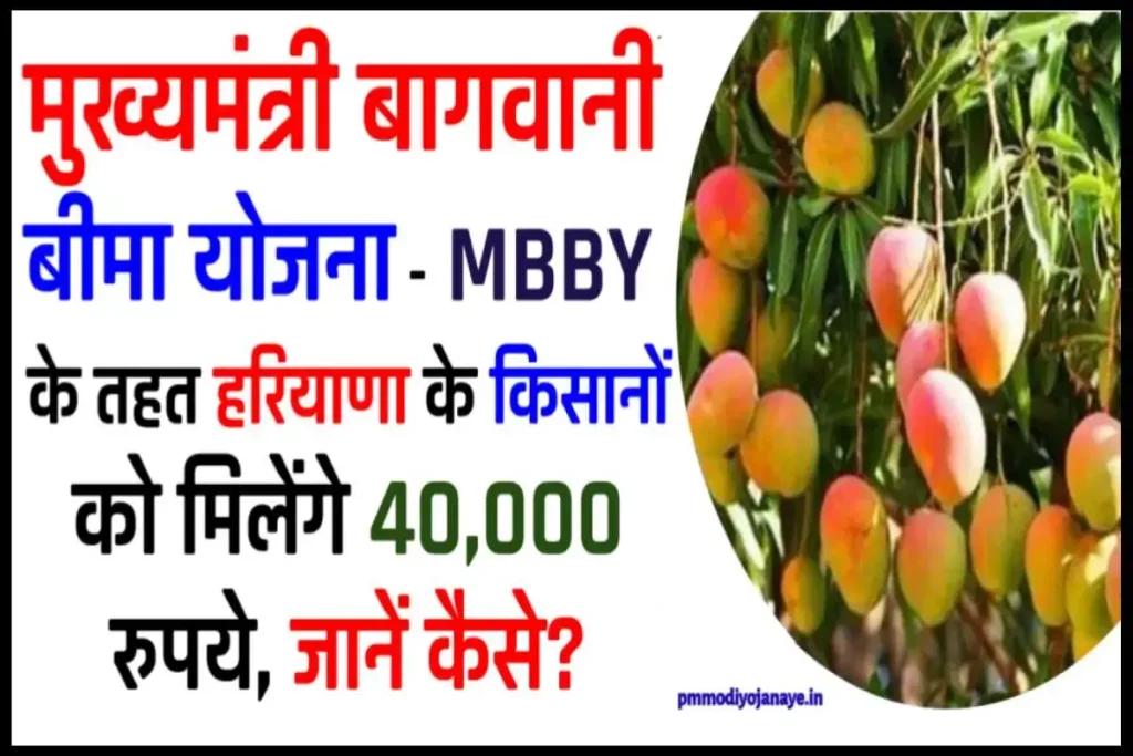 Mukhyamantri Bagwani Bima Yojana: मिलेंगे 40,000 रुपये MBBY के तहत हरियाणा के किसानों को, जानें कैसे?